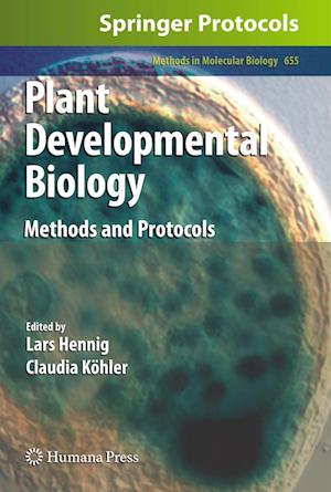 Plant Developmental Biology