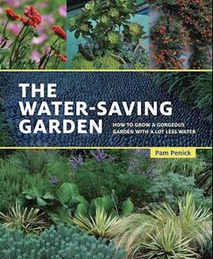 The Water-Saving Garden