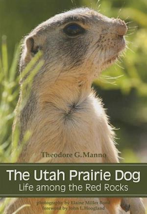 The Utah Prairie Dog