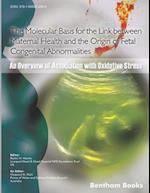 The Molecular Basis for the Link Between Maternal Health and the Origin of Fetal Congenital Abnormalities