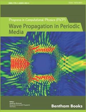 Progress in Computational Physics (PiCP)