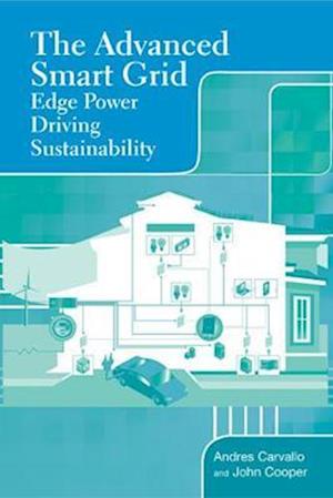 The Advanced Smart Grid