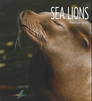 Sea Lions