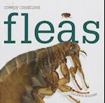 Fleas