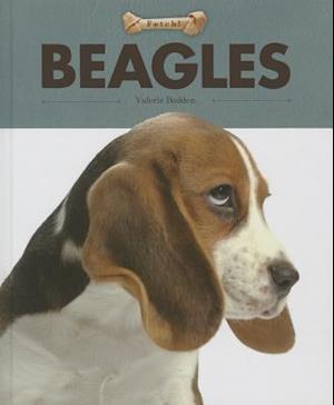 Beagles