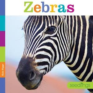 Seedlings Zebras
