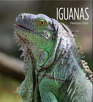 Iguanas