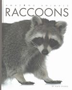 Raccoons