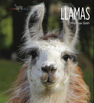 Llamas