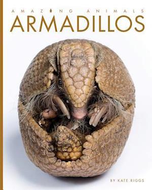 Armadillos