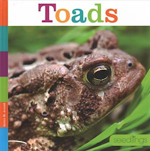 Toads