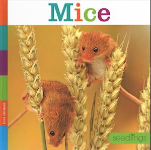 Mice