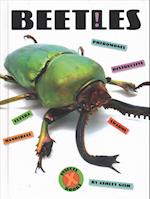 Beetles