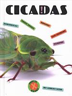 Cicadas