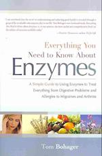 Everything You Need to Know about Enzymes