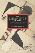 Meanings Of Work, The: Essays On The Affirmation And Negation Of Work