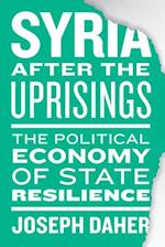 Syria After the Uprisings
