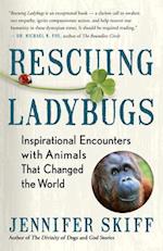 Rescuing Ladybugs