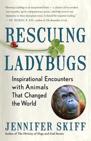 Rescuing Ladybugs