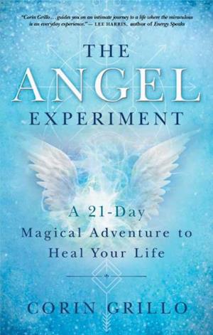 Angel Experiment