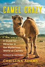 Camel Crazy