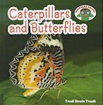 Caterpillars and Butterflies