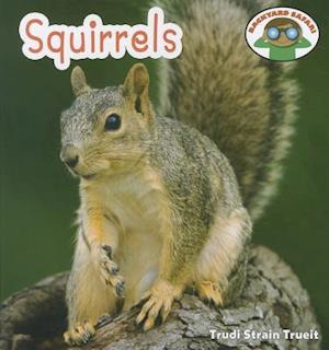 Squirrels