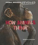 How Animals Think
