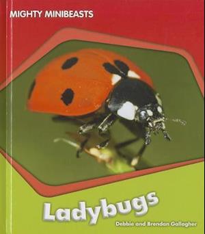 Ladybugs