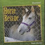 Horse Rescue