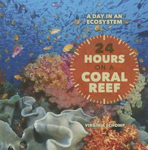 24 Hours on a Coral Reef