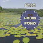 24 Hours in a Pond