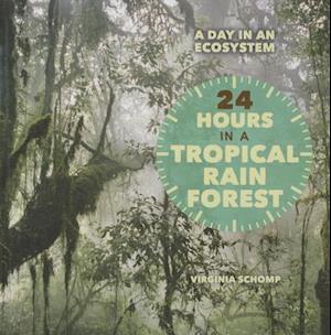 24 Hours in a Tropical Rain Forest