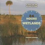 24 Hours in the Wetlands