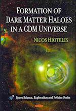 Formation of Dark Matter Haloes in a CDM Universe
