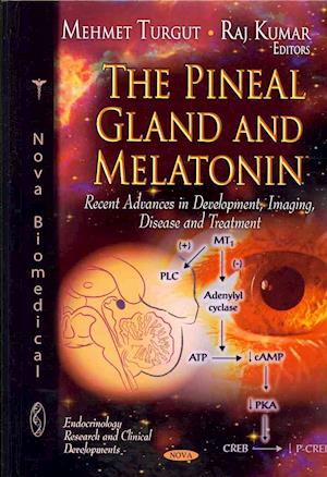 Pineal Gland & Melatonin