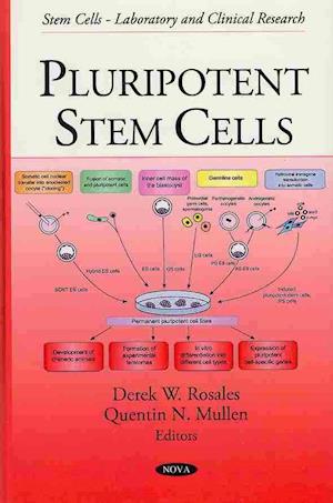 Pluripotent Stem Cells