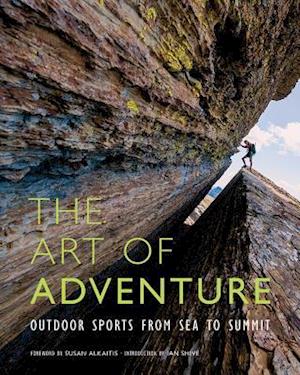 The Art of Adventure