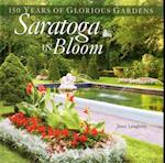 Saratoga in Bloom