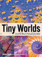 Tiny Worlds