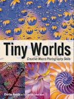 Tiny Worlds