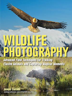 Wildlife Photography