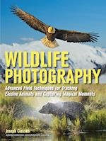 Wildlife Photography