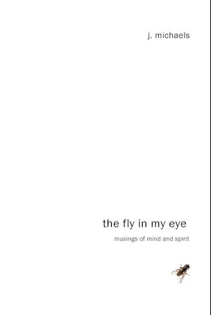 The Fly in My Eye