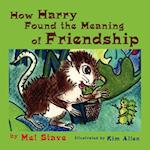 How Harry Found the Meaning of Friendship 