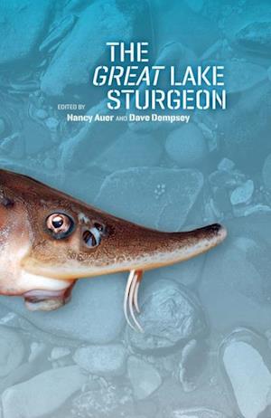 Great Lake Sturgeon