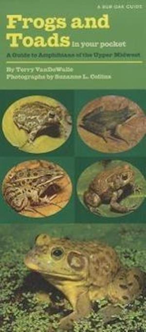 Vandewalle, T:  Frogs and Toads in Your Pocket