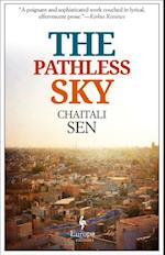 Pathless Sky