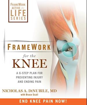 FrameWork for the Knee