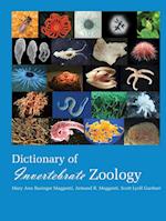 Dictionary of Invertebrate Zoology --Paperback